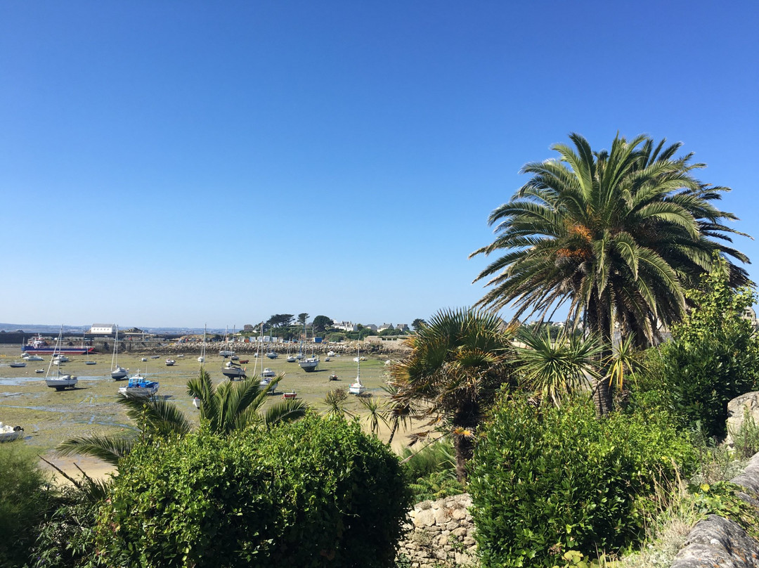 Ile-de-Batz旅游攻略图片