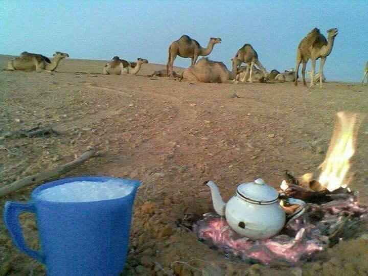 Al Jufrah District旅游攻略图片