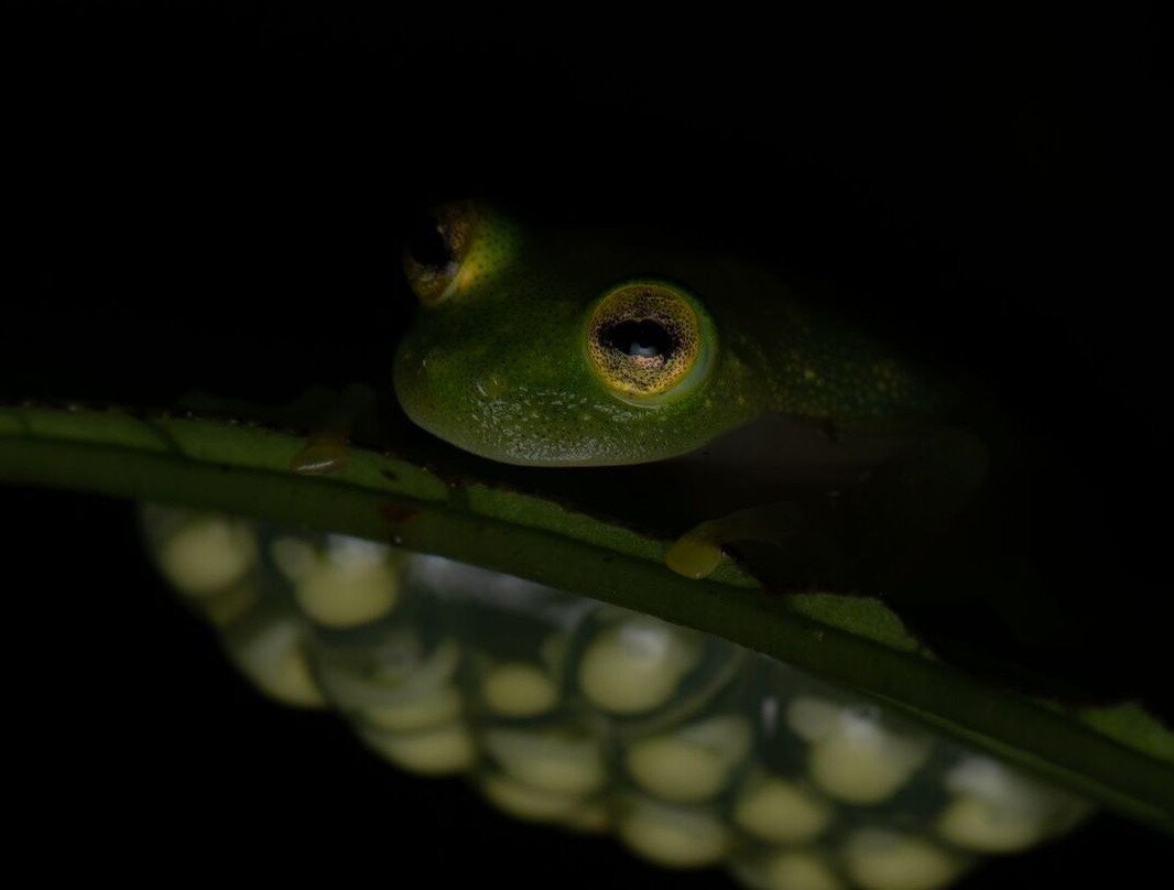 Expiatours Costa Rica-El Castillo必去景点