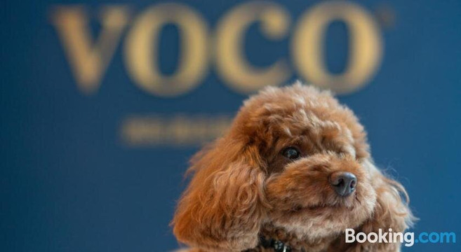 voco Nanjing Garden Expo by IHG主图