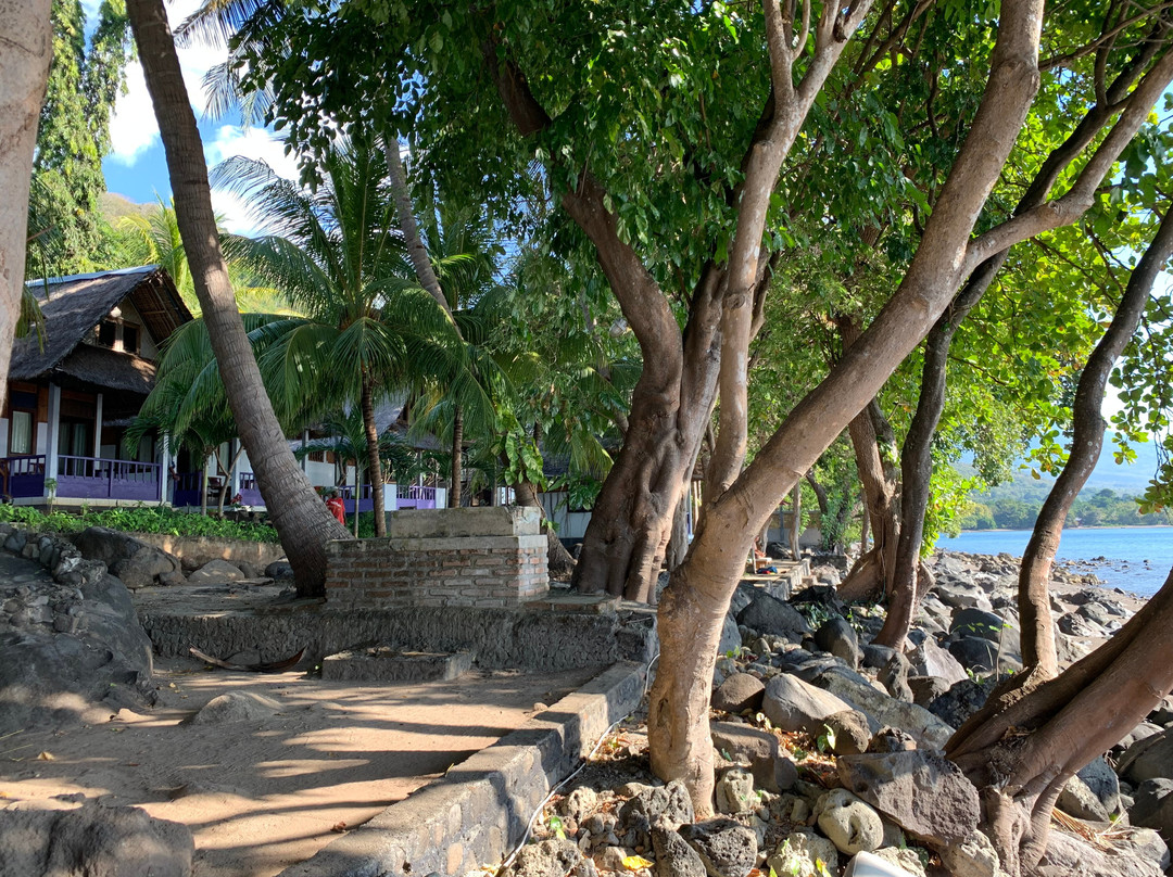 Amkermi Bungalows & Happy Divecenter