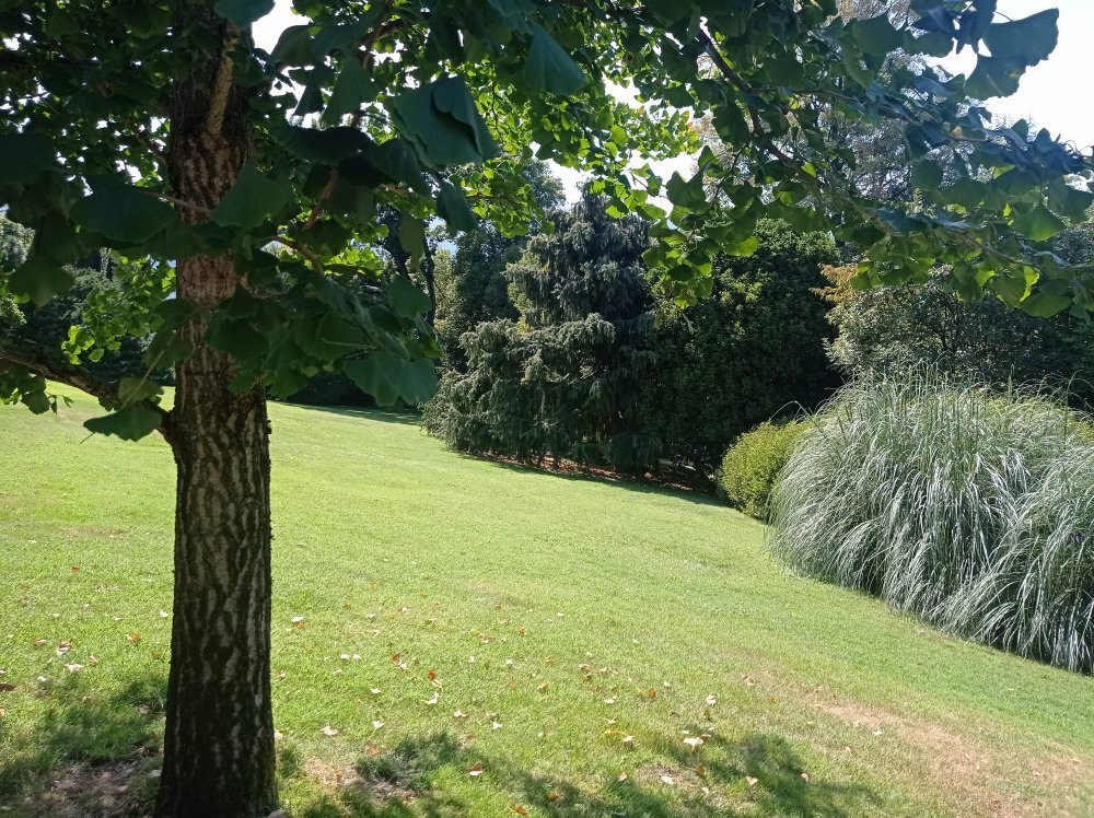 Giardino Botanico Dell'Isola Madre