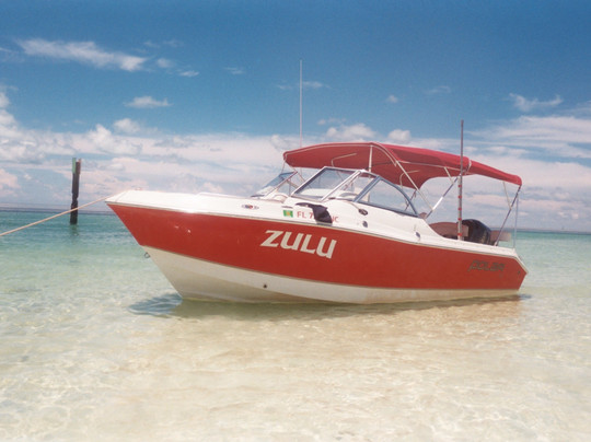 Dolphin Safari Charters-基韦斯特必去景点