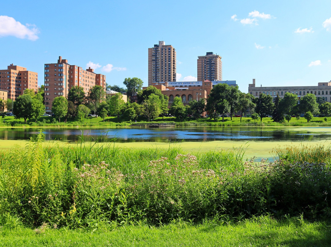 Loring Park景点图片