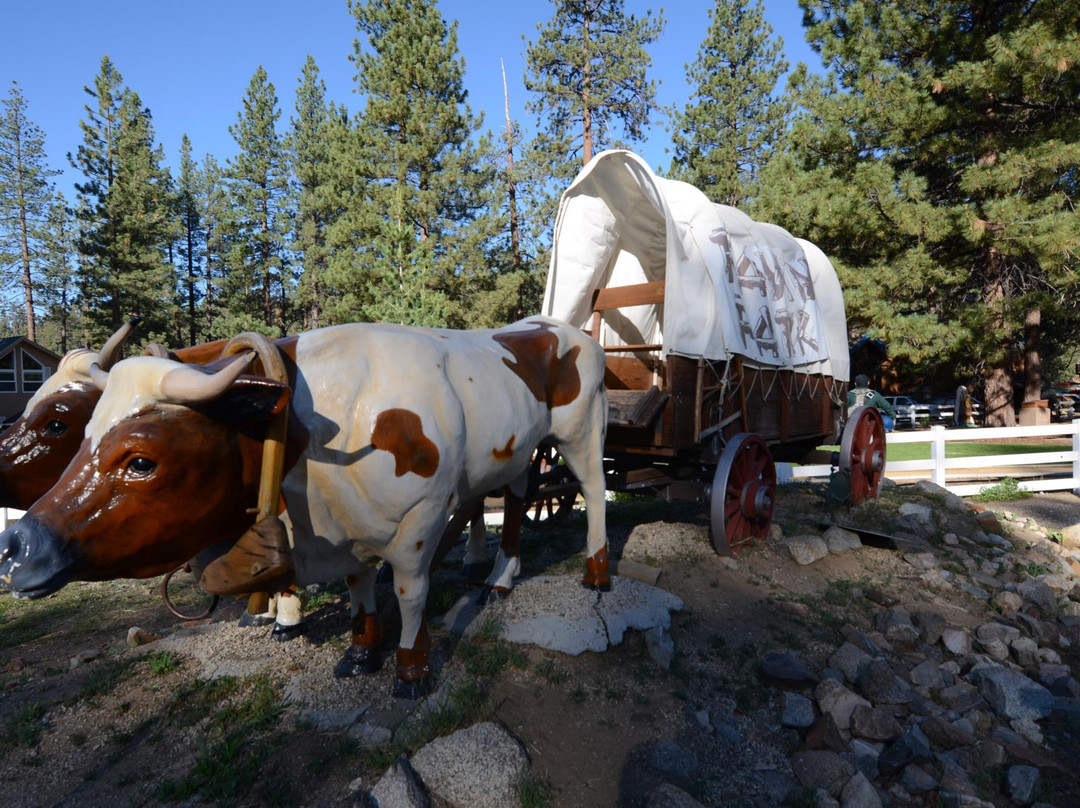 Big Bear Discovery Center景点图片