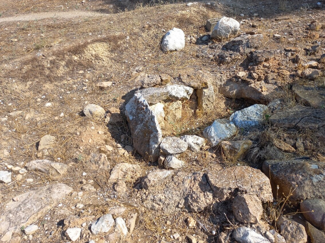 Mycenaean Cemetery of Dendra景点图片