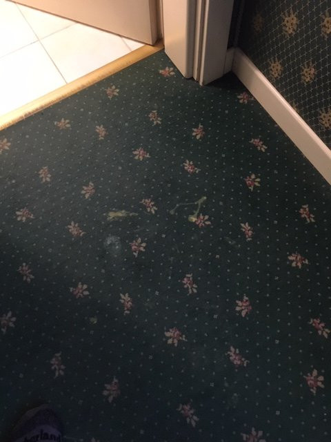 Hotel Conterie主图