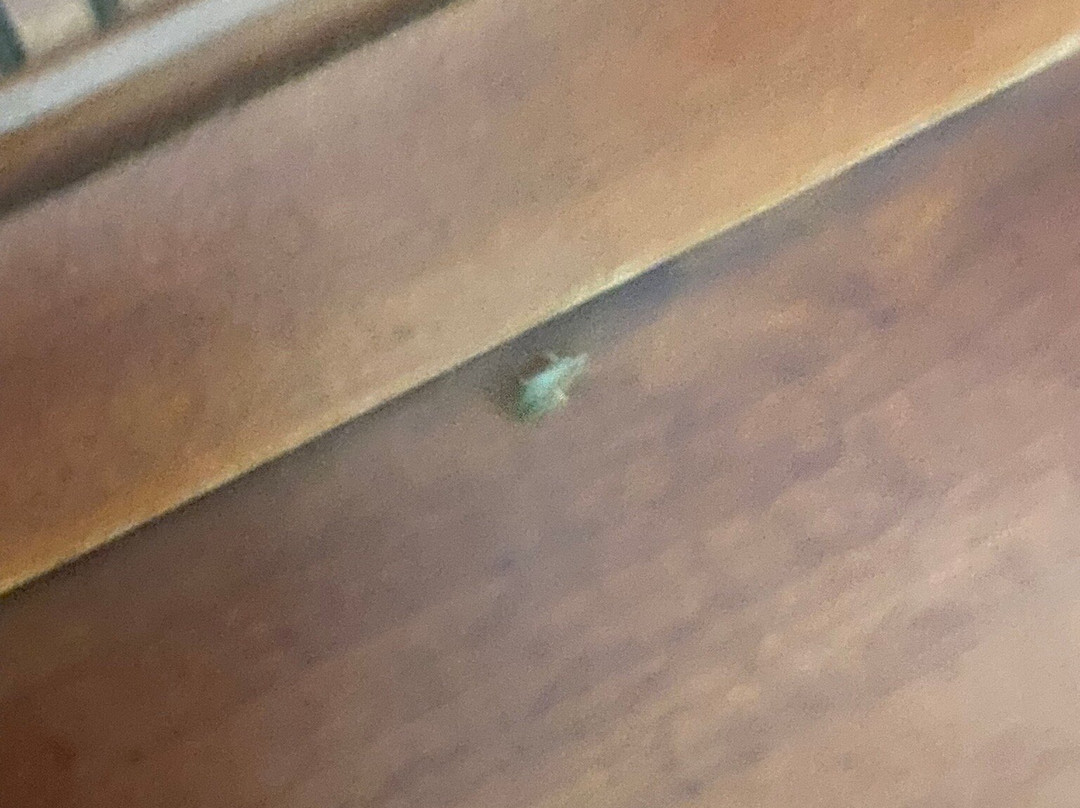 The Hotel at Dayton South