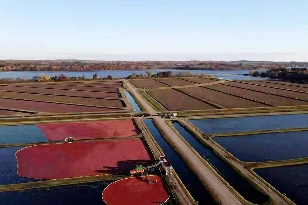 Rooted In Red Cranberry Tours in Wisconsin景点图片