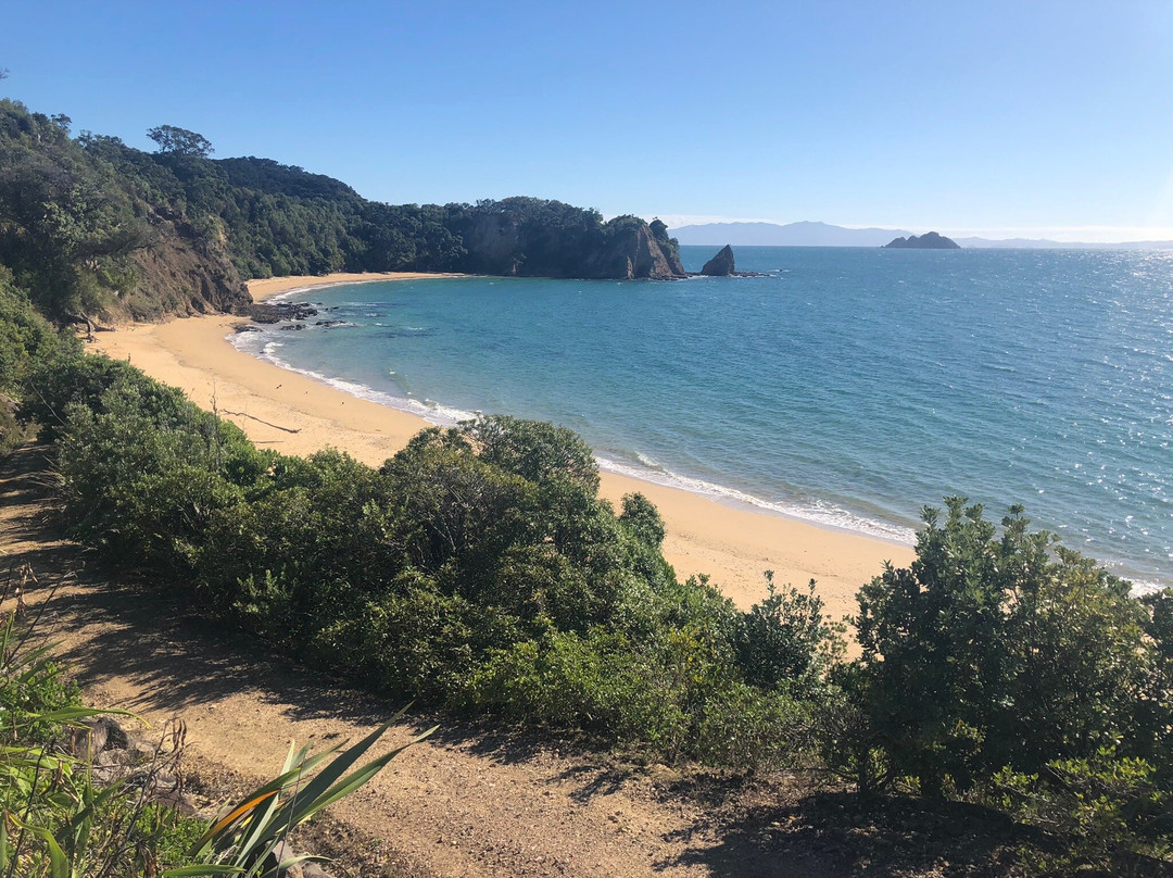 Rotoroa Island-奥克兰必去景点