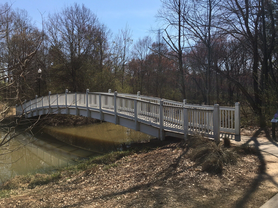 Pinnacle Park-诺克罗斯必去景点