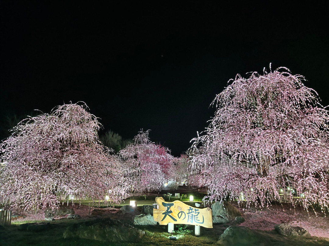 Suzuka Forest Garden景点图片