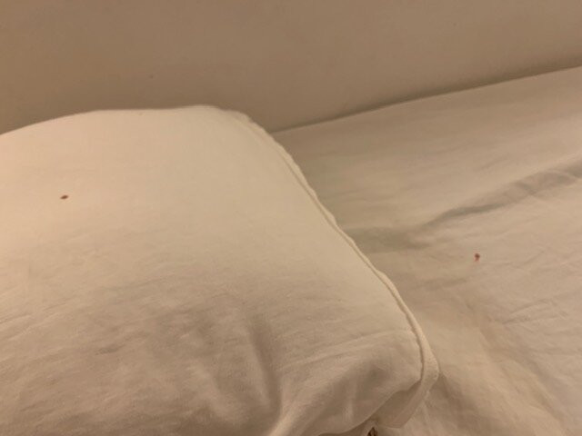 Casa del Mar Lodge主图