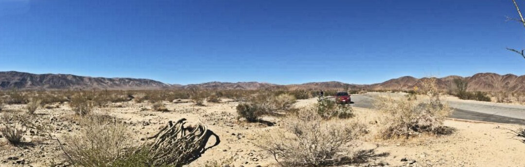 Ocotillo Patch-约书亚树必去景点
