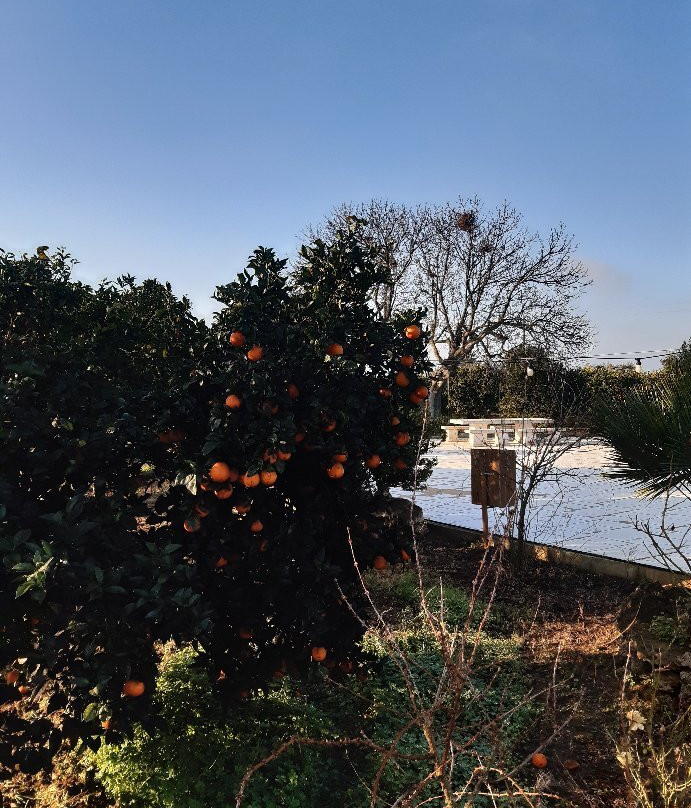 B&B Giardino Isabella主图