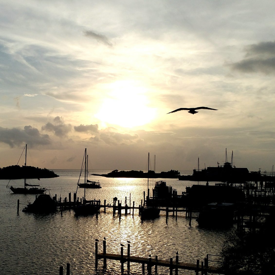 Captain's Landing Waterfront Inn-官方