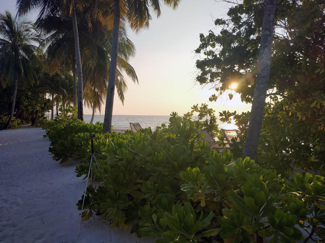 Fiyavalhu Maldives主图