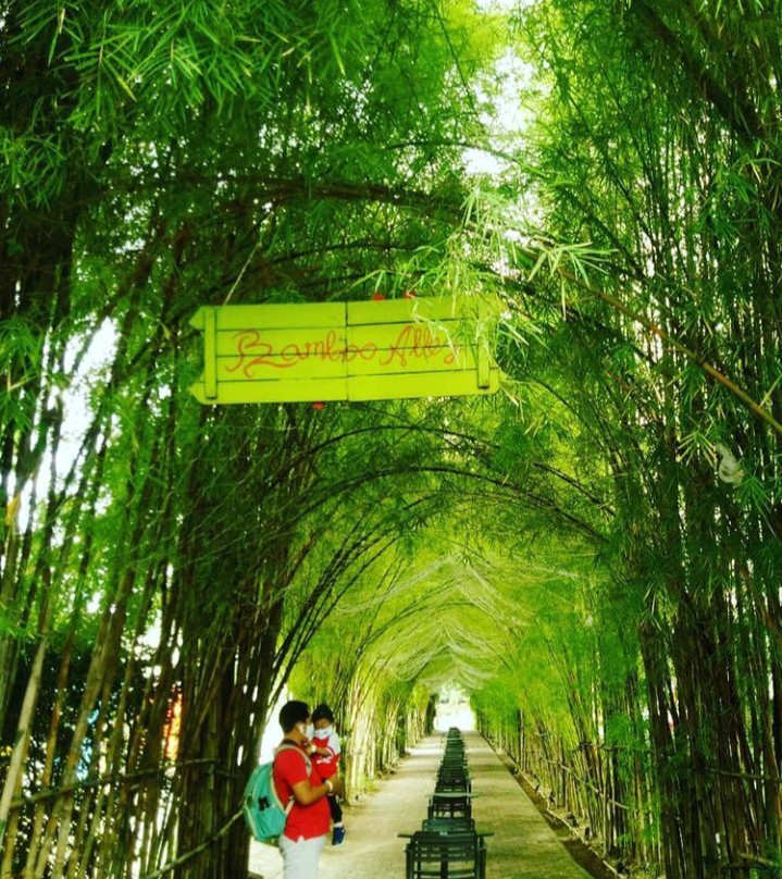 Scientia Square Park (SQP)-坦格朗必去景点