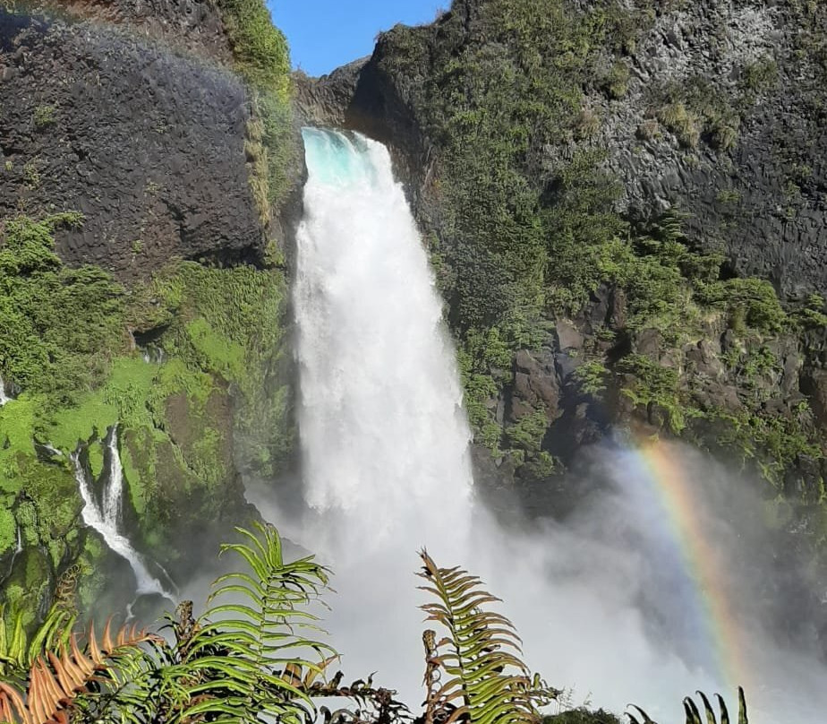 Parque Neltume - Salto Huilo Huilo-耐尔杜美必去景点