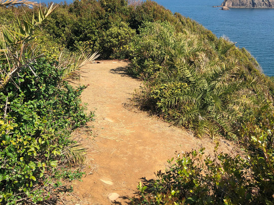 塔门岛-香港必去景点