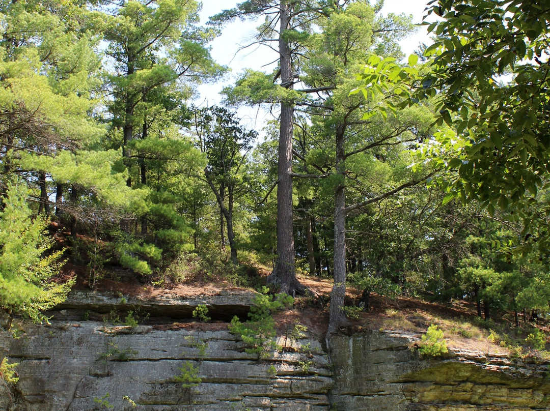 Pier Natural Bridge Park景点图片