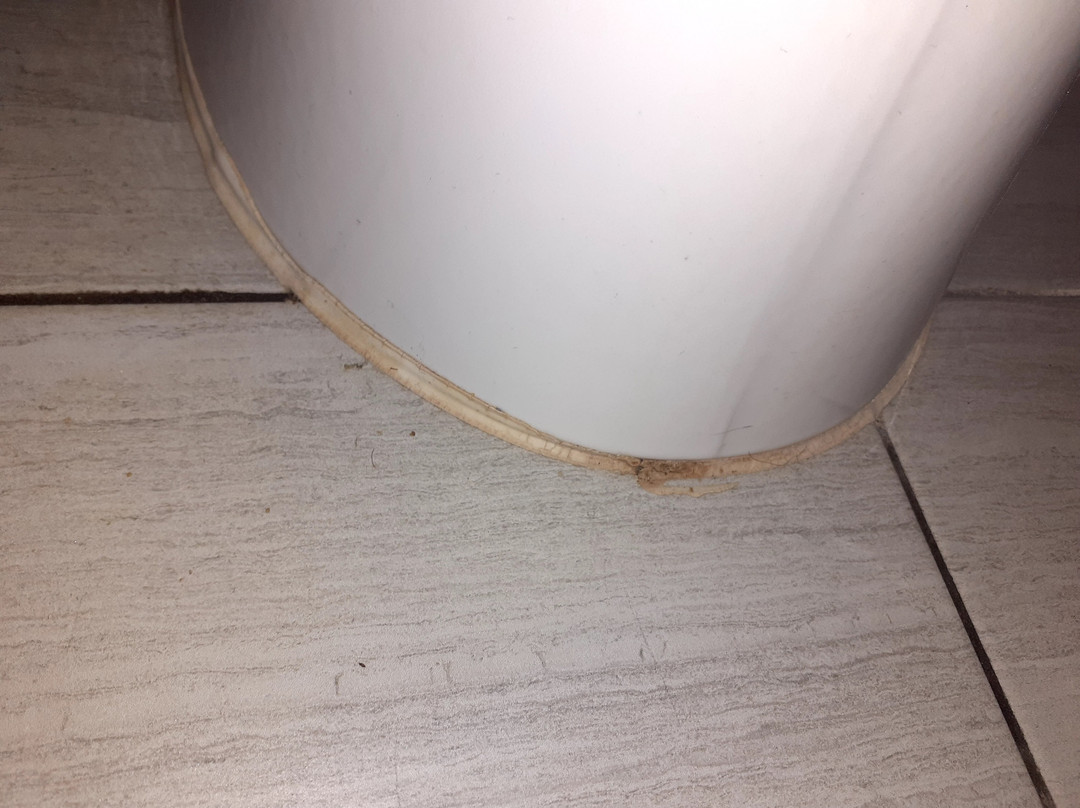 Baymont by Wyndham Texarkana主图