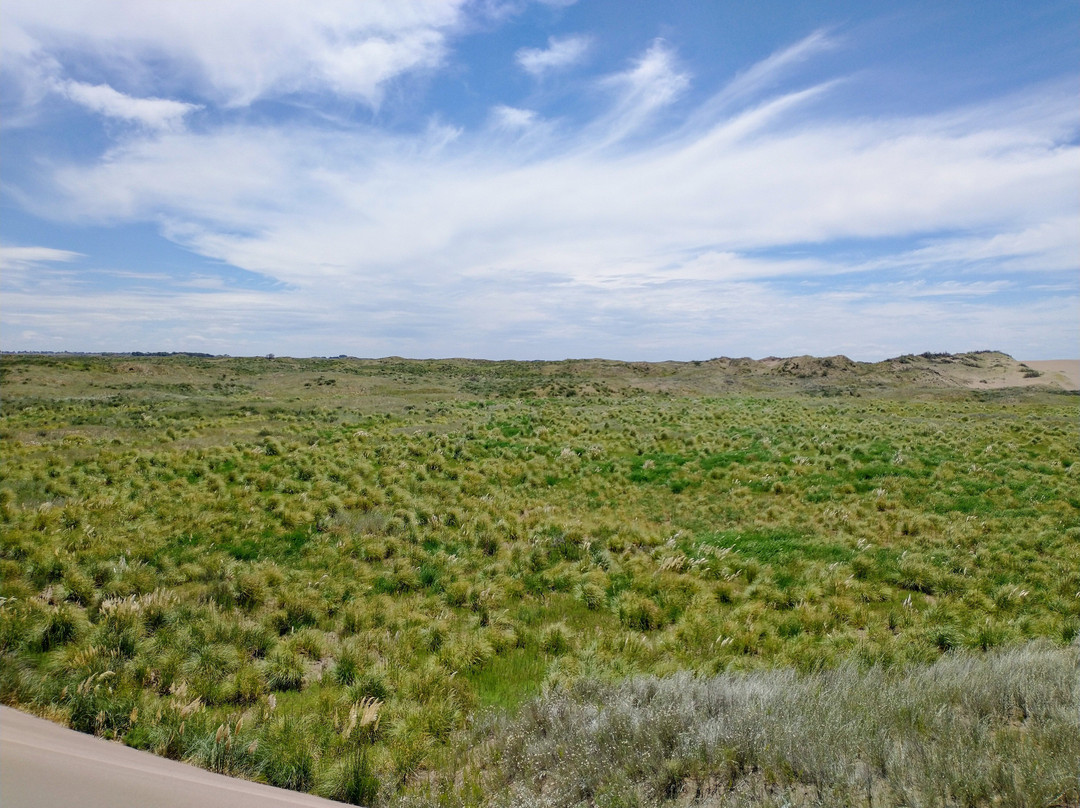 Reserva Natural Pehuen Co - Monte Hermoso-Monte Hermoso必去景点