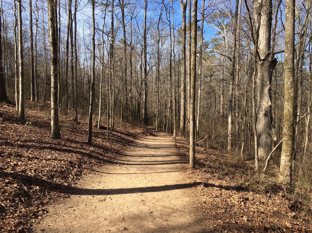 Caney Creek Preserve-卡明必去景点