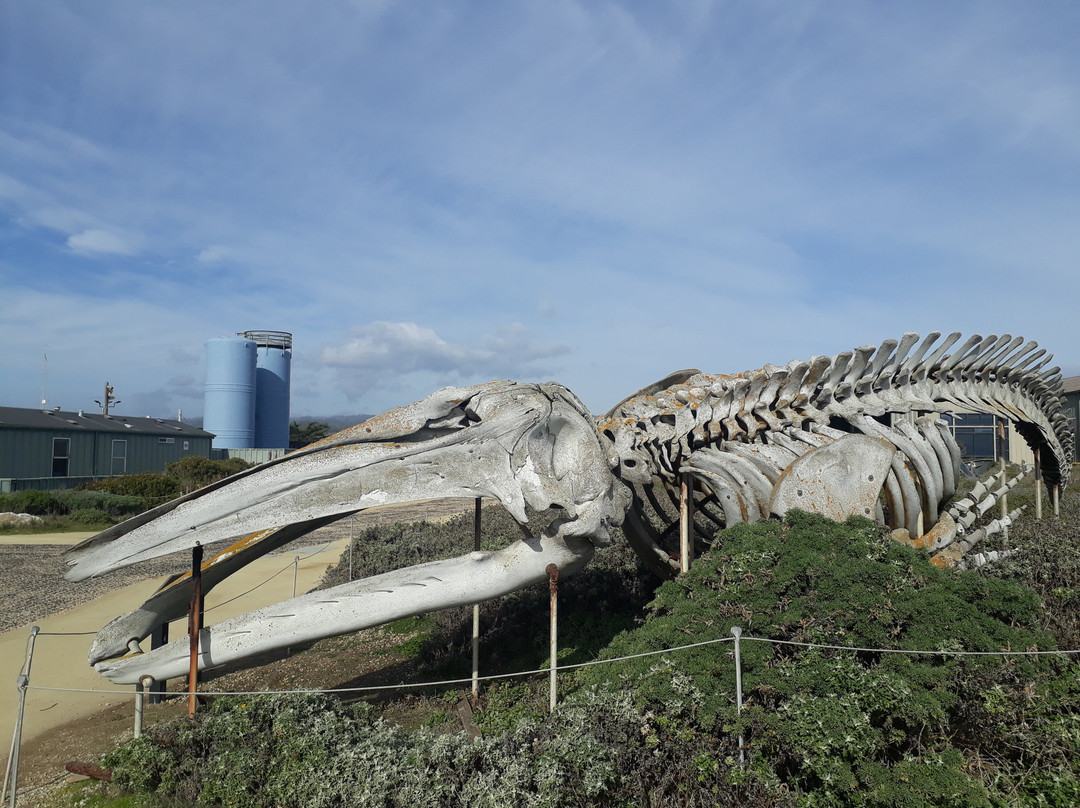 Seymour Marine Discovery Center-圣克鲁斯必去景点