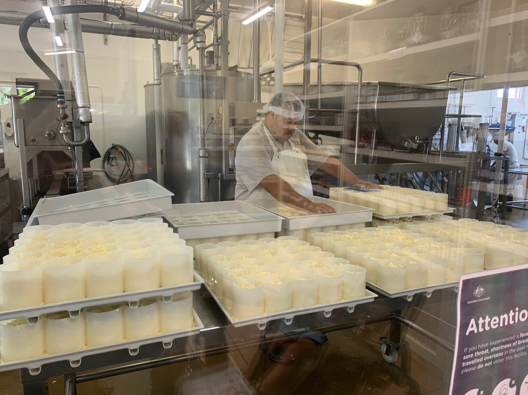Abc Cheese Factory Central Tilba景点图片