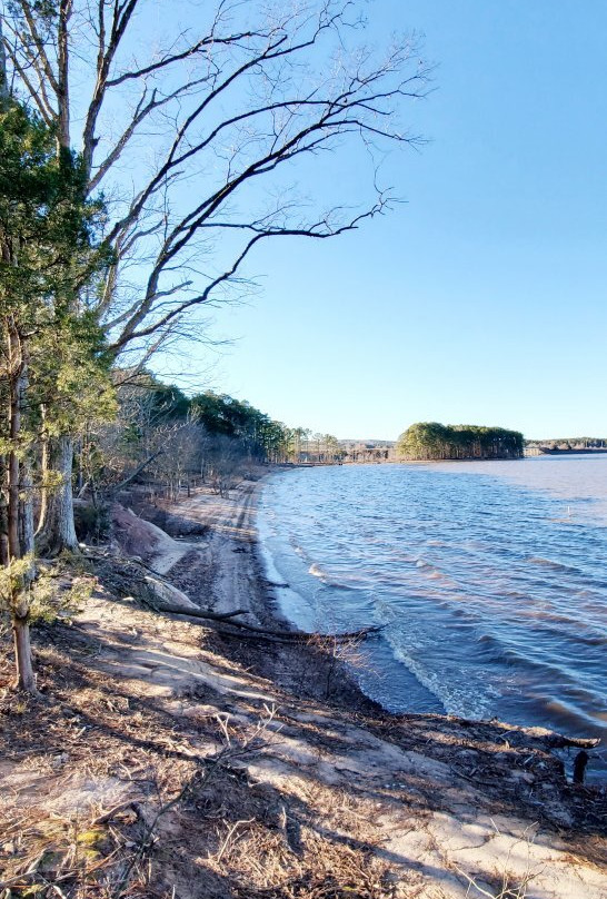 Jordan Lake State Recreation Area景点图片