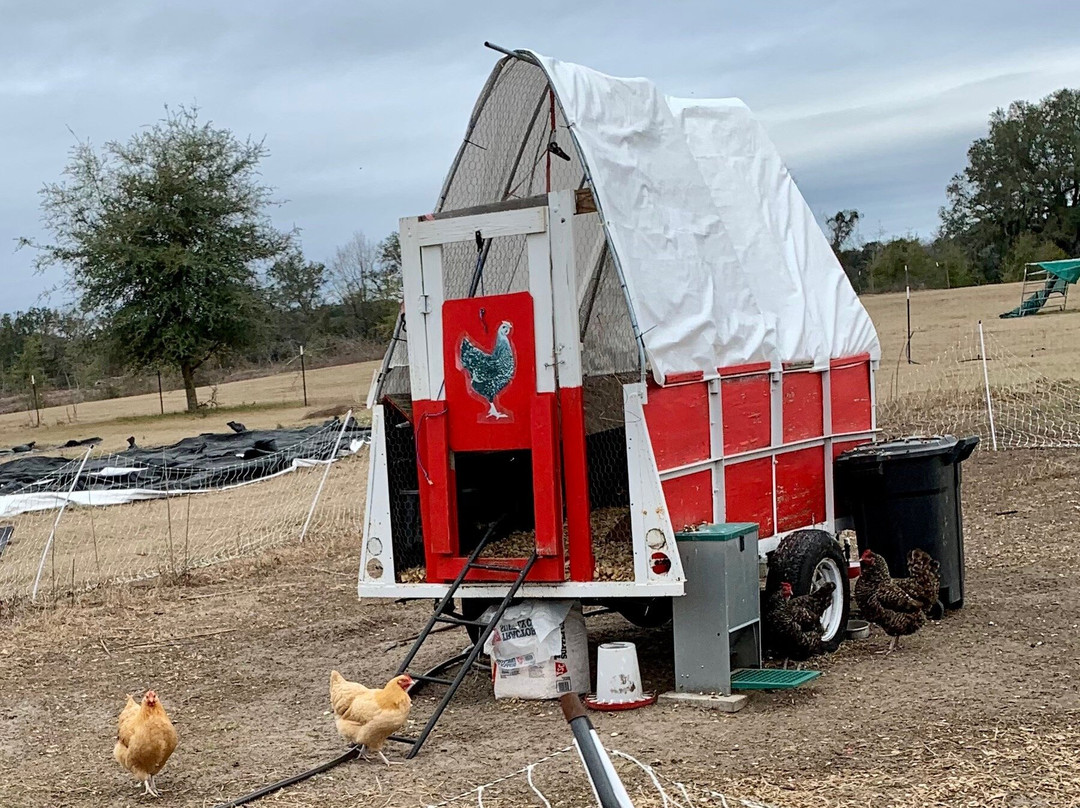 Gan Eden Farms-Live Oak必去景点