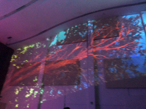 MAYAHUEL SHOW-瓦拉塔港必去景点