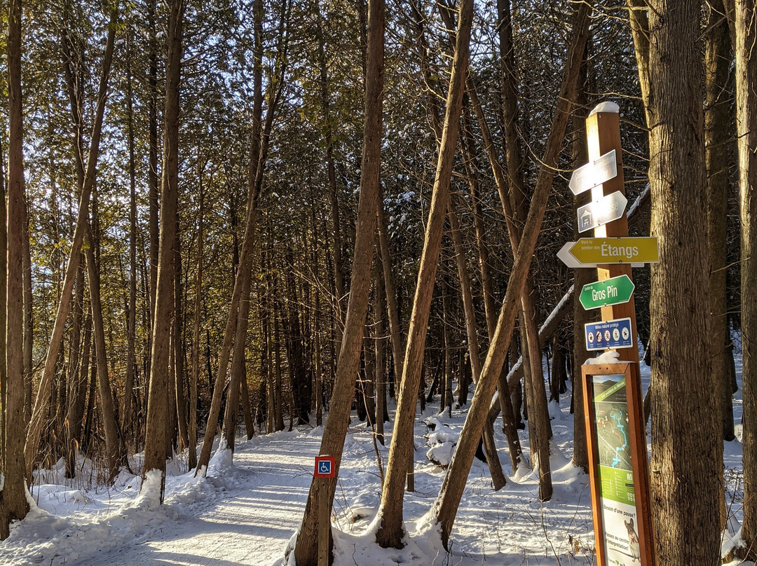 Marais de la Riviere aux Cerises-梅戈格必去景点