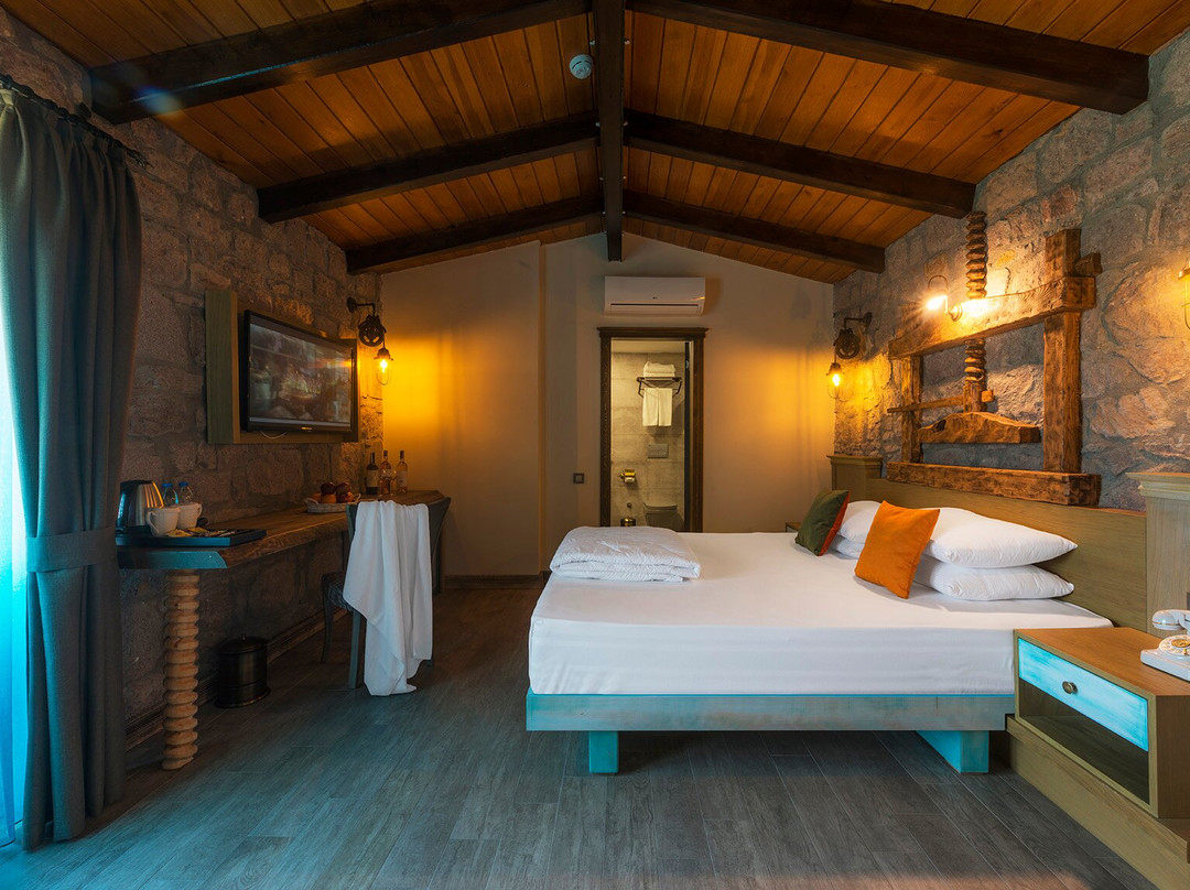 Assos Zeytinhan Hotel主图