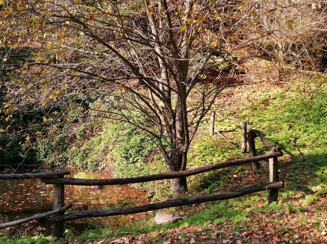 Medvednica mountain (Sljeme)景点图片