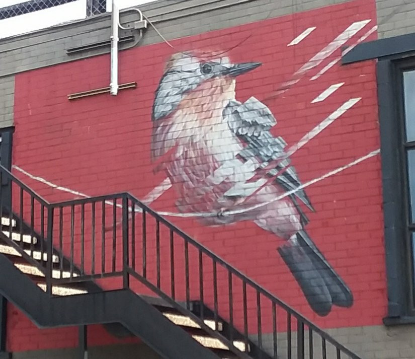 榆树街-达拉斯必去景点