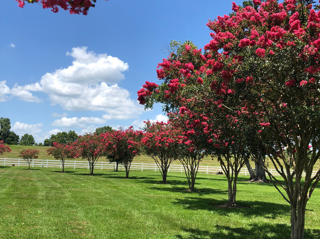 St. Joseph Plantation景点图片