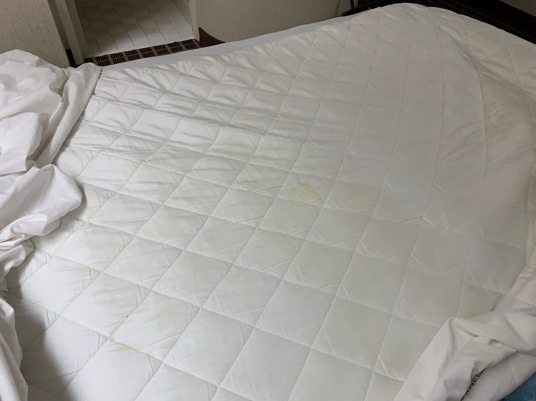 Days Inn by Wyndham Yadkinville主图