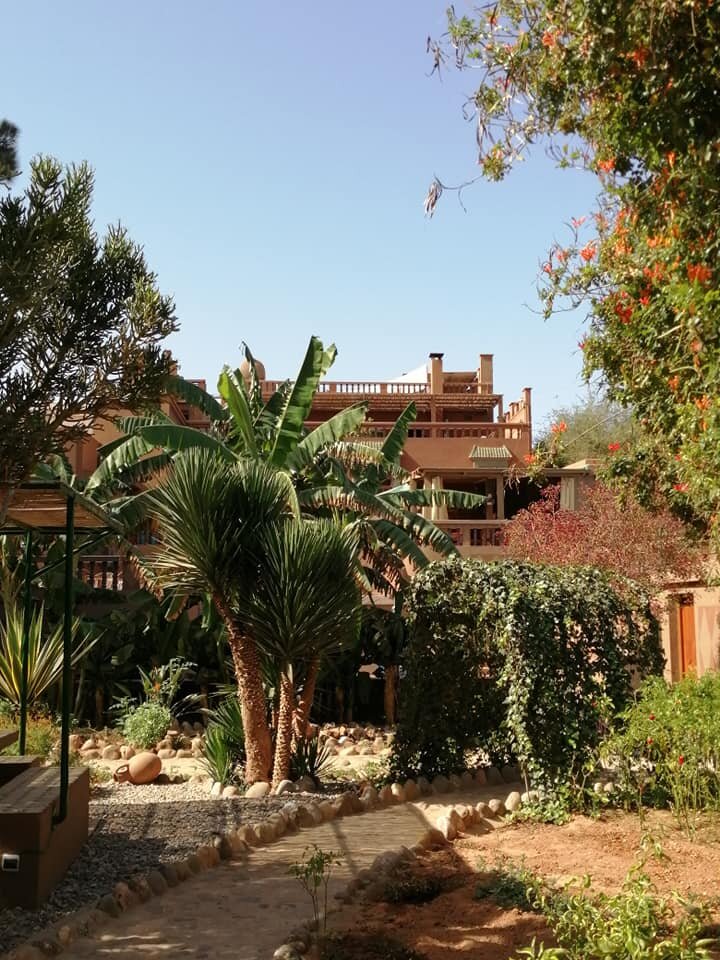 La Palmeraie de Massa-家庭/游戏区