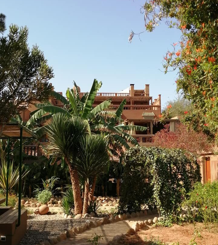 La Palmeraie de Massa主图