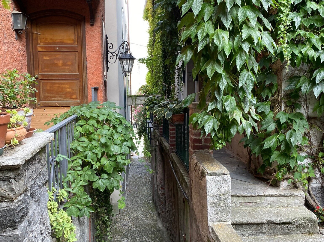 Borgo di Pescallo景点图片