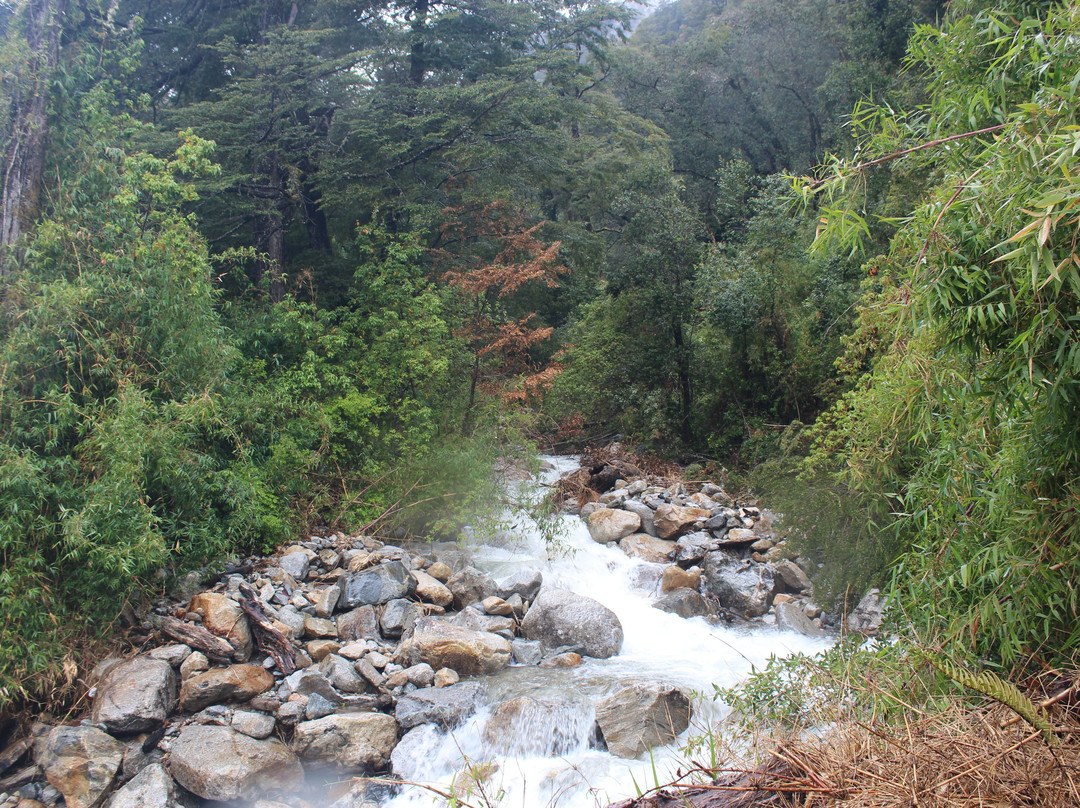 Cascada Velo de la Novia-Peulla必去景点