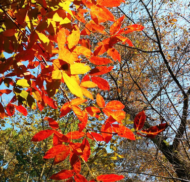 Gwanaksan Mountain-首尔必去景点