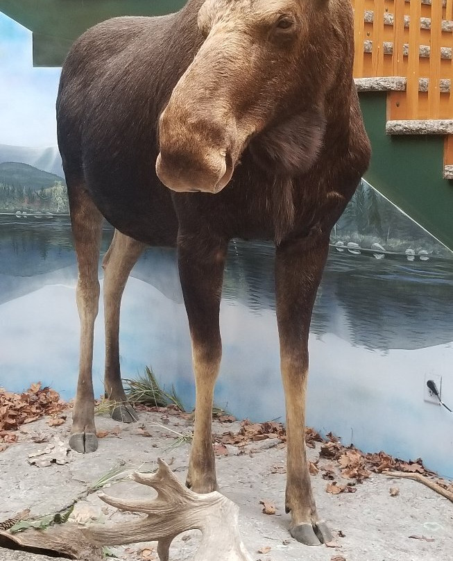 Kittery Trading Post-Kittery必去景点