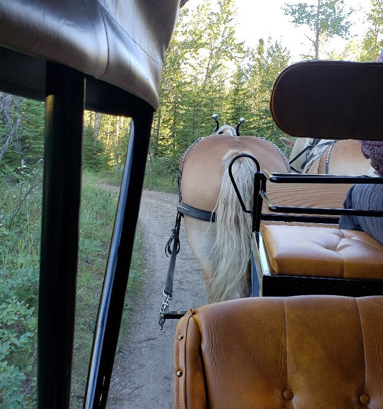 传统农场-红鹿市必去景点