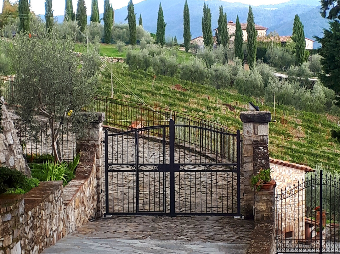 Castello di Vertine景点图片