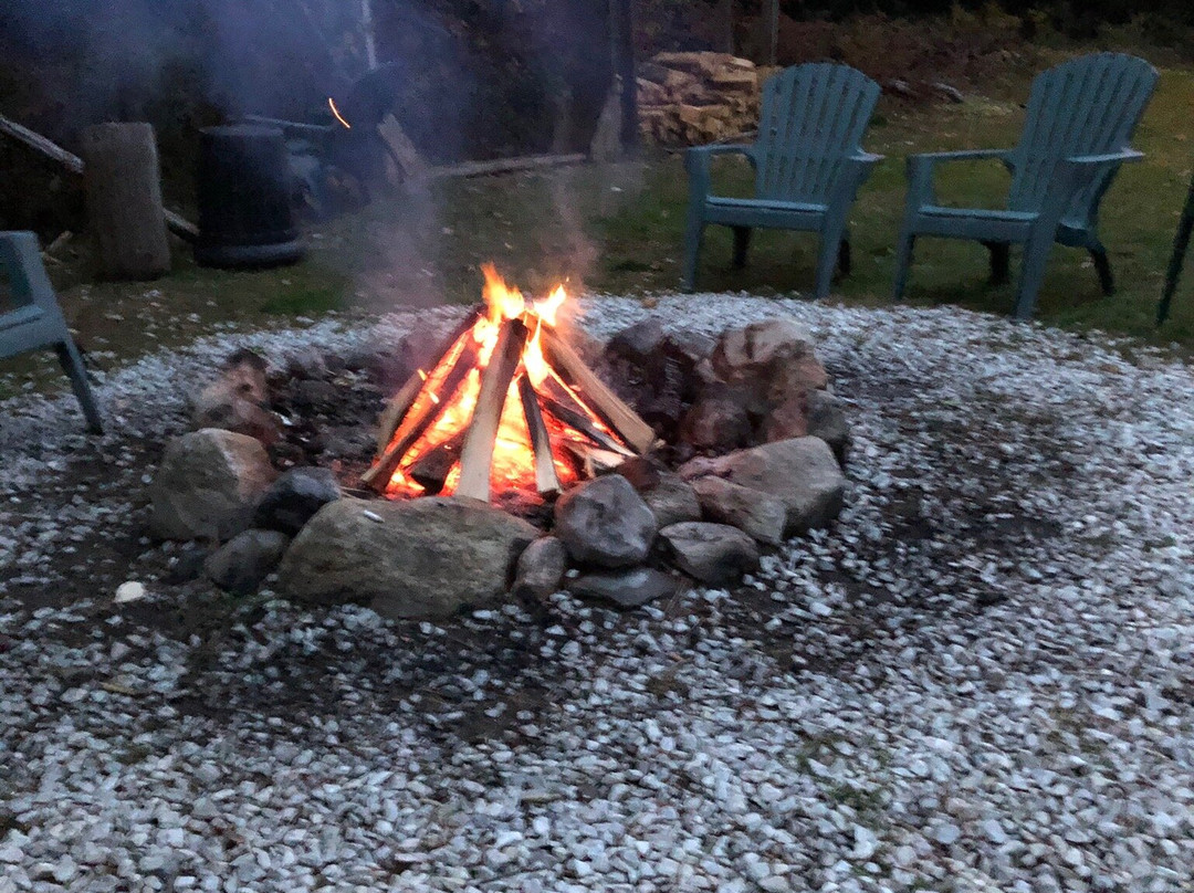 Pine Tree Motel & Cabins主图