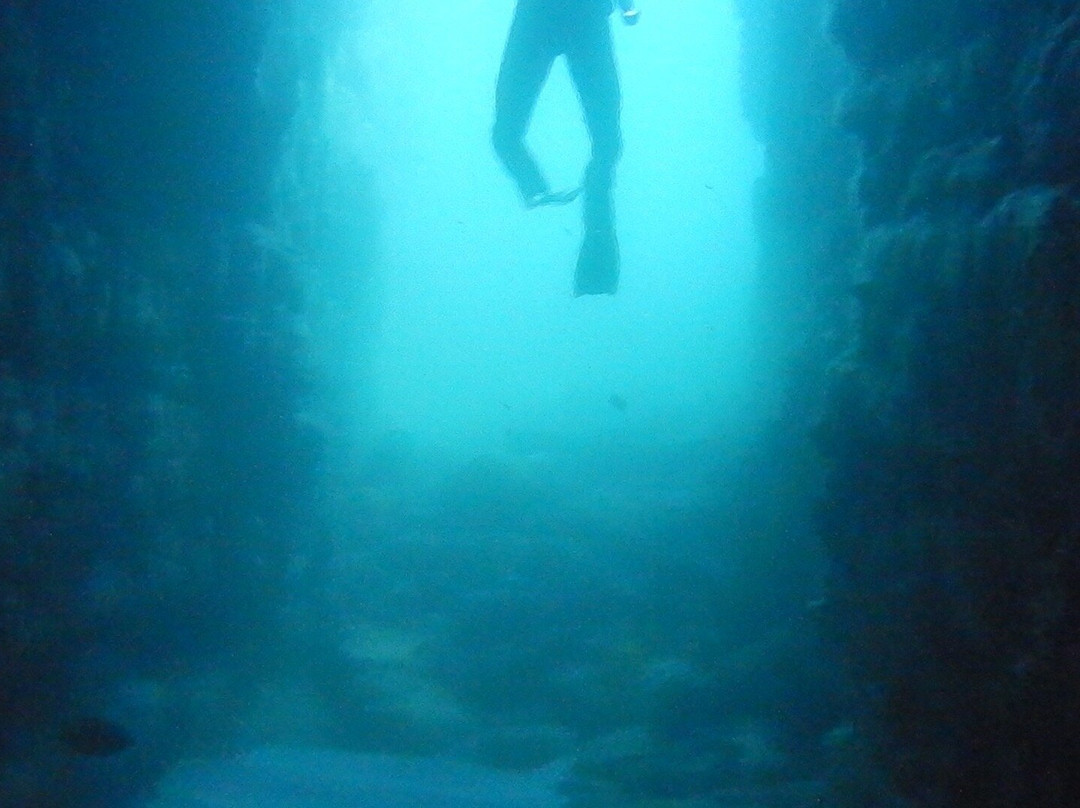 Dive Jervis Bay景点图片