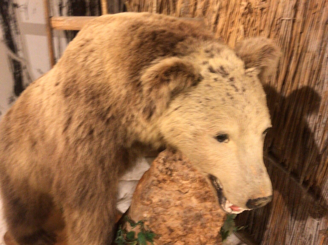 Tomamaecho Local History Museum-苫前町必去景点